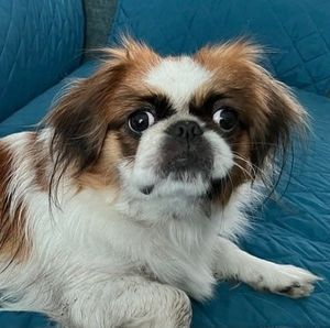 Meet your Posher, Lynn